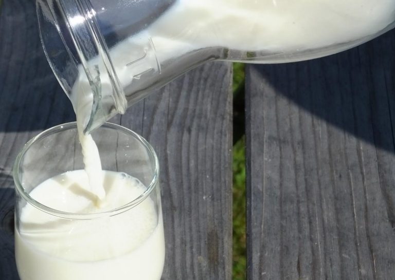 71 milch 20160830 768x545