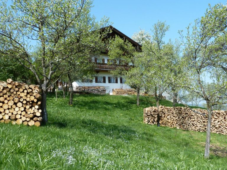 7810 schindler berhamhof 768x576